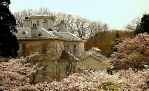 満開の桜の中の天鏡閣・迎賓館
