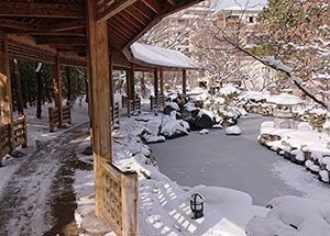 雪の中の熱海ゆけむり緑地