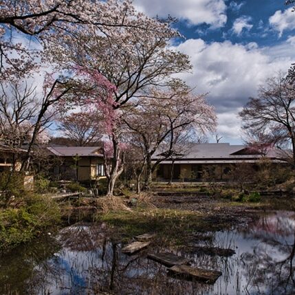 桜と八景園の外観