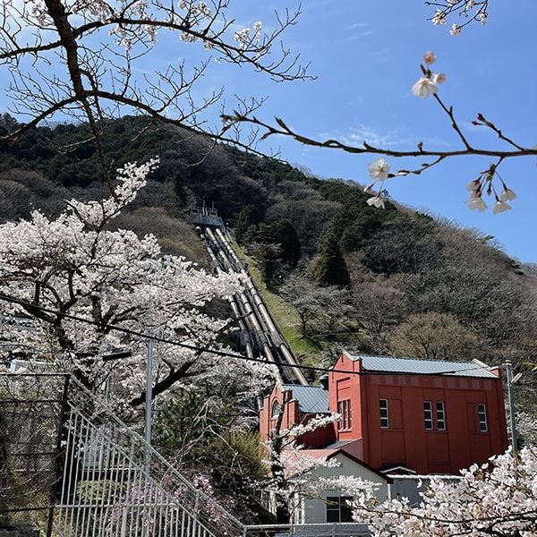 marumori-jinja-img marumori-jinja-img