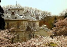 満開の桜の中の天鏡閣・迎賓館